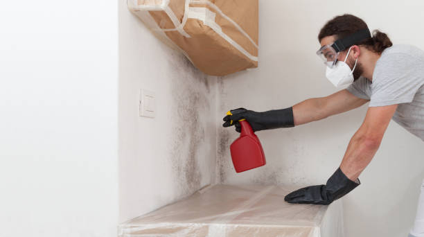 Professional Mold Cleanup technician working in Middleville, MI