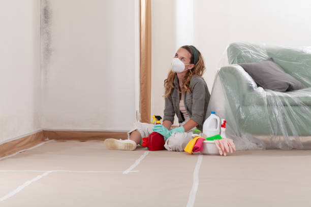 Reliable Mold Cleanup contractor in Middleville, MI by WQB Mold Removal